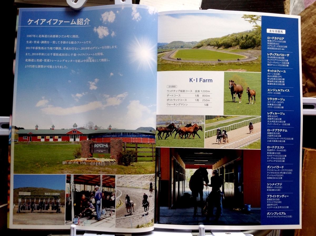 f:id:jnsk_jojo:20200619051532j:plain