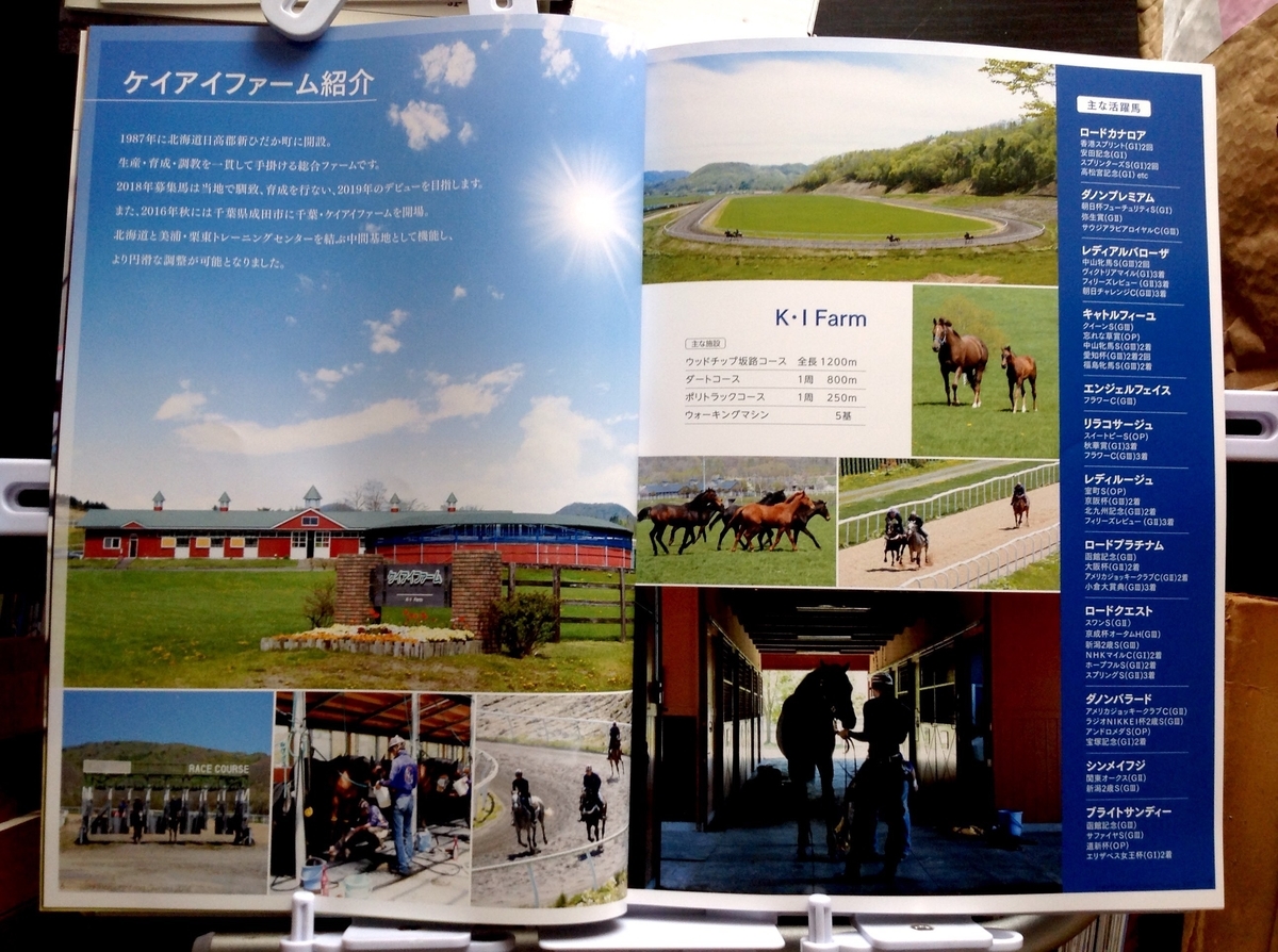 f:id:jnsk_jojo:20200619051702j:plain