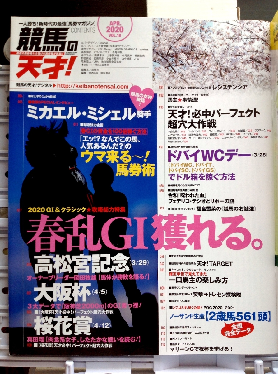 f:id:jnsk_jojo:20200619054054j:plain