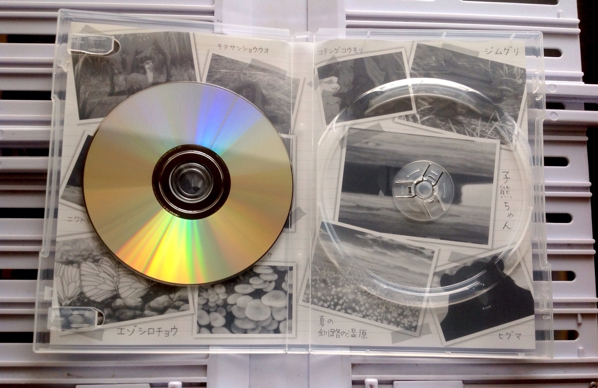 f:id:jnsk_jojo:20200920144235j:plain