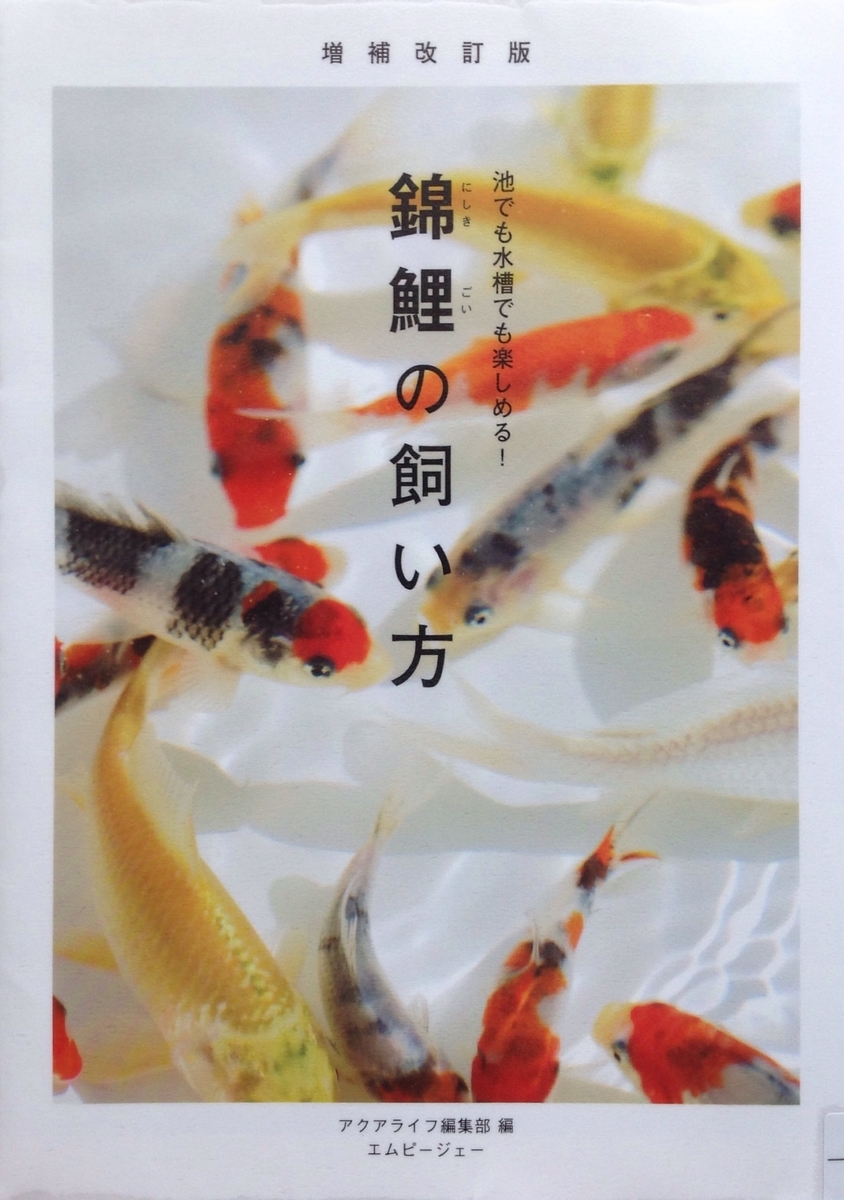 f:id:jnsk_jojo:20201118032206j:plain