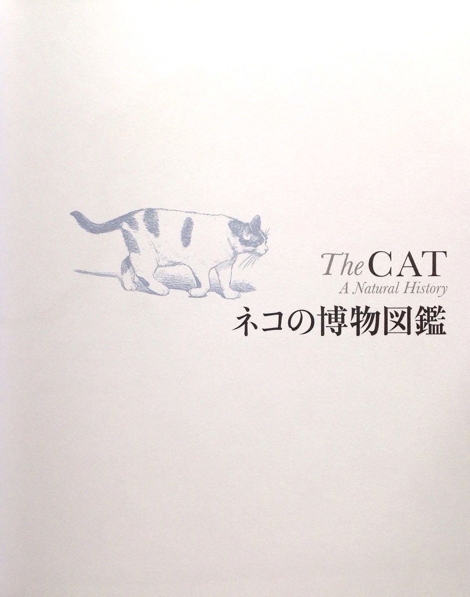 f:id:jnsk_jojo:20201130135232j:plain