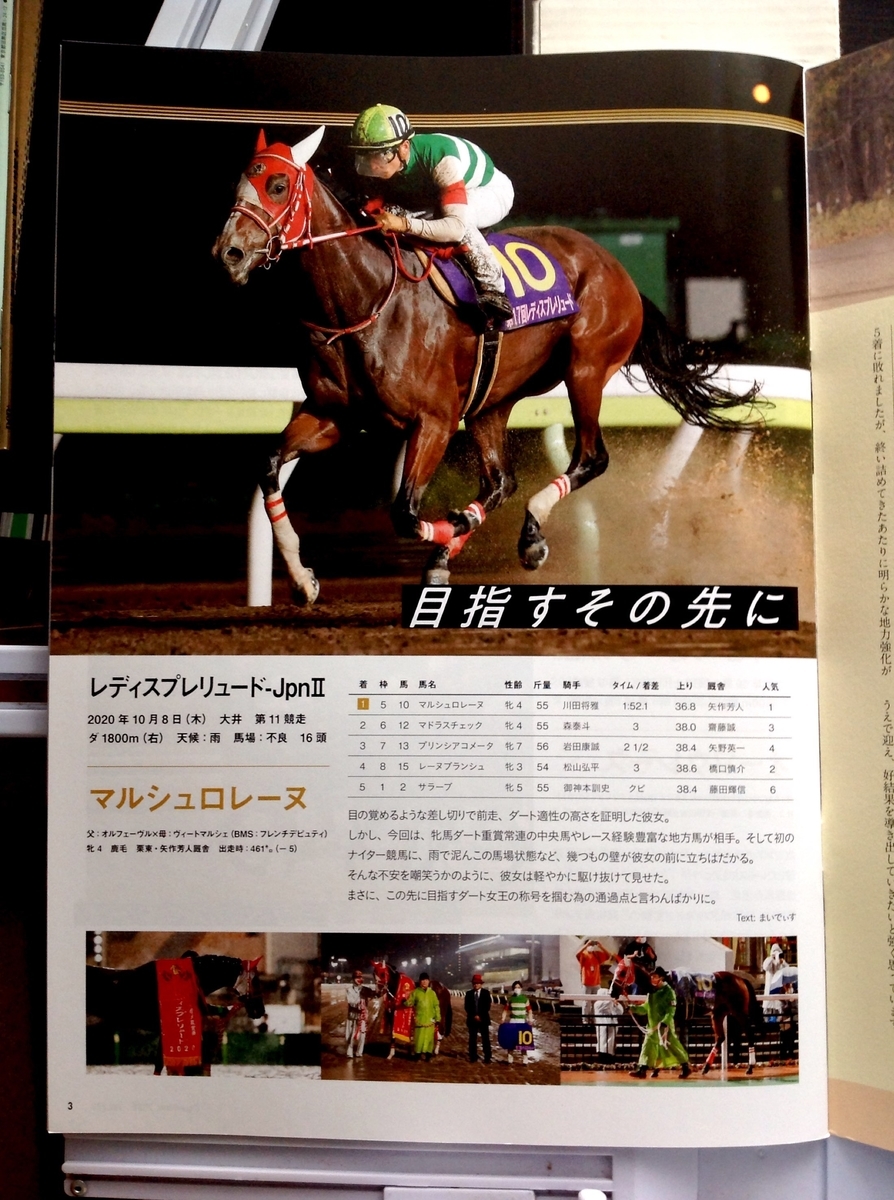 f:id:jnsk_jojo:20201214211641j:plain