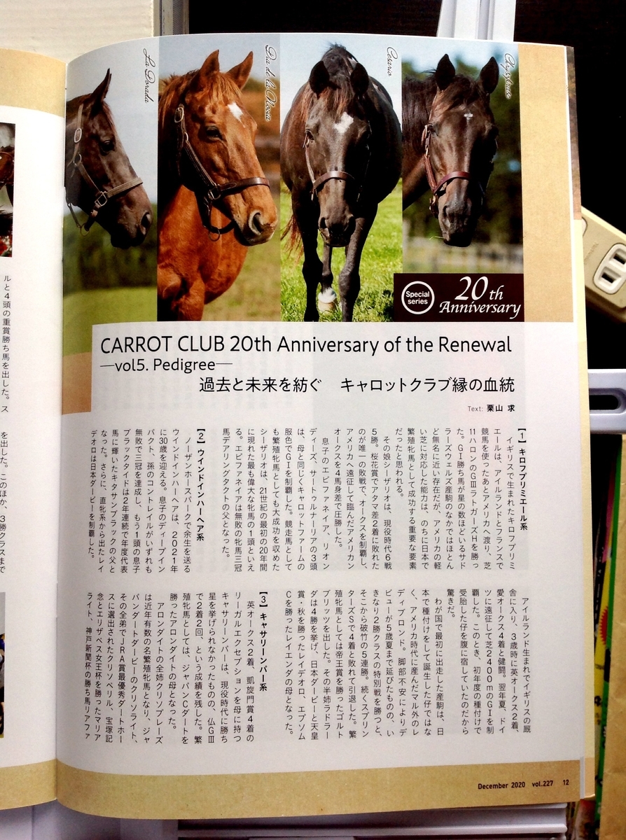 f:id:jnsk_jojo:20201214211647j:plain