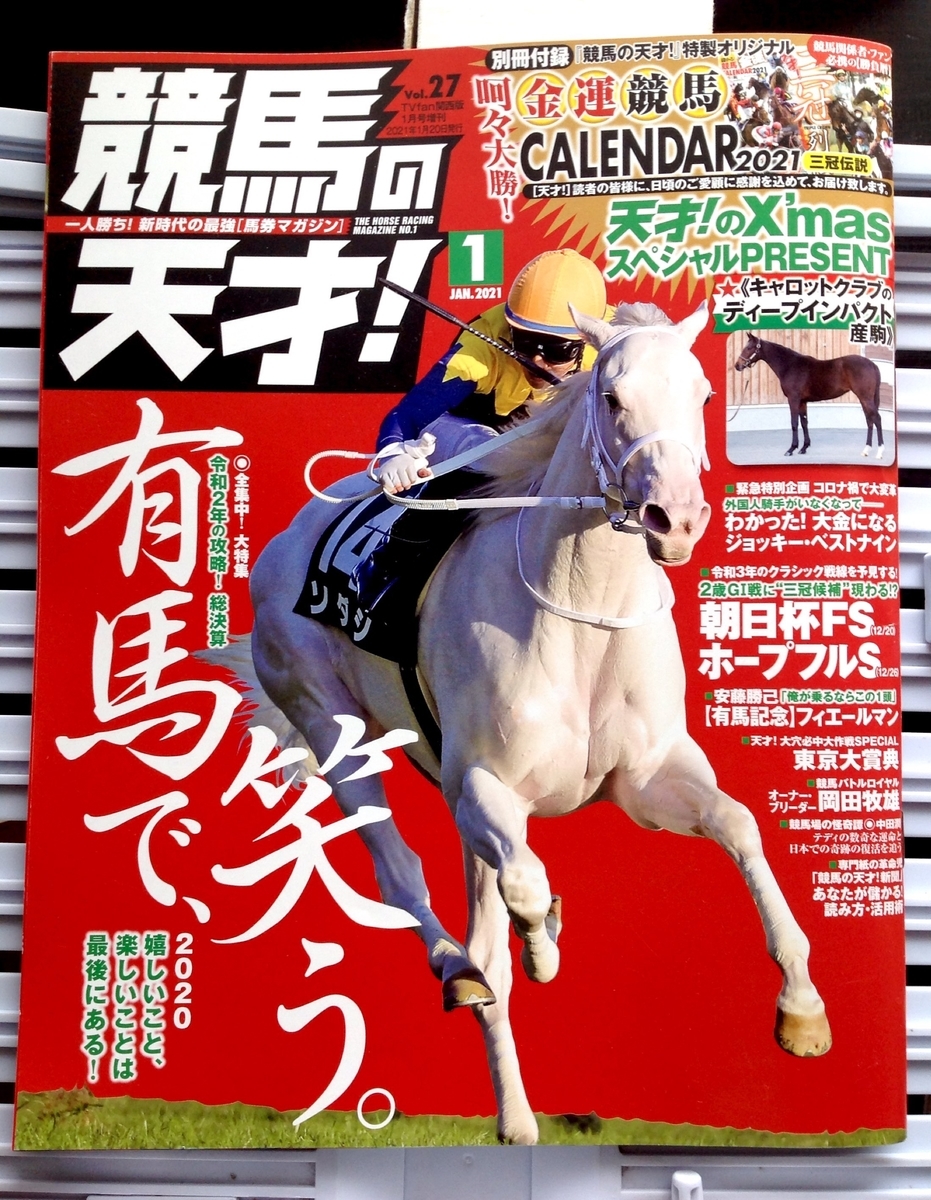 f:id:jnsk_jojo:20201225064351j:plain