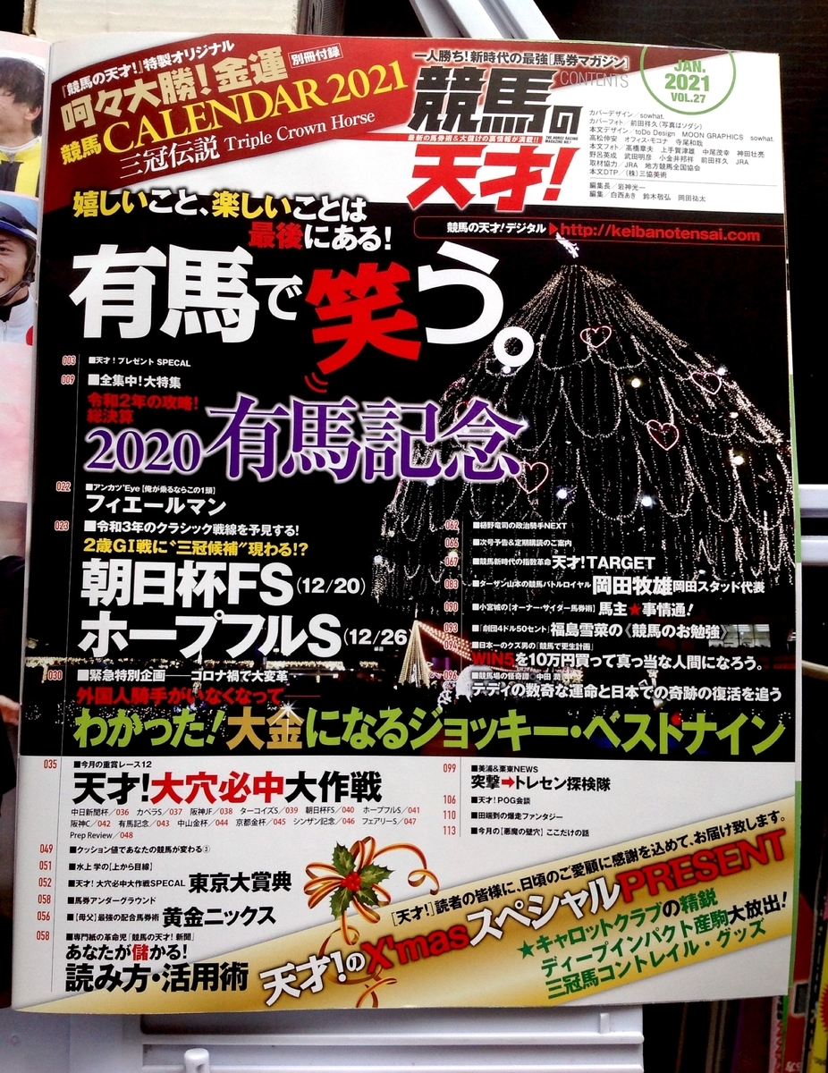 f:id:jnsk_jojo:20201225064359j:plain