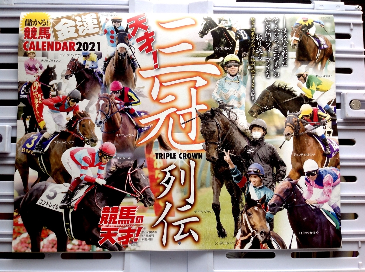 f:id:jnsk_jojo:20201225064458j:plain