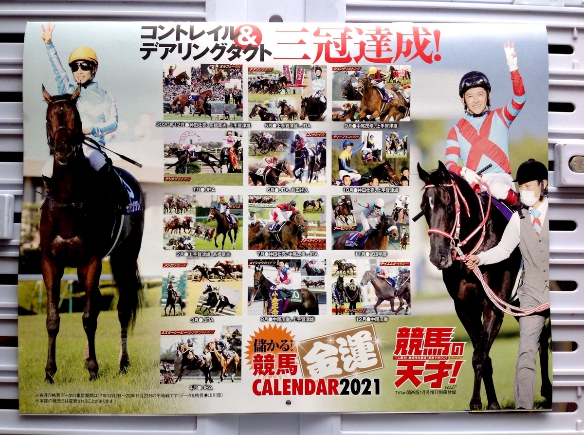 f:id:jnsk_jojo:20201225064507j:plain
