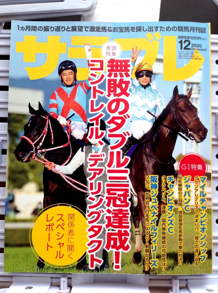 f:id:jnsk_jojo:20210228233435j:plain