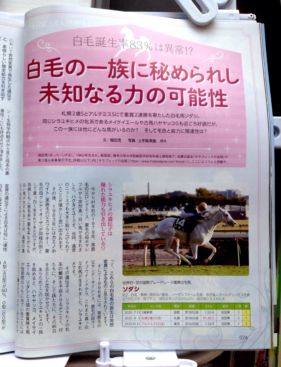 f:id:jnsk_jojo:20210228233457j:plain