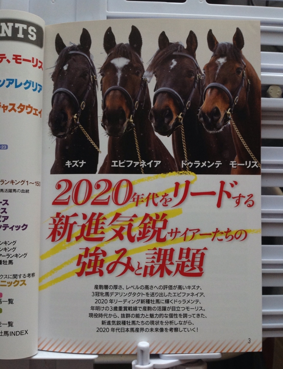 f:id:jnsk_jojo:20210507221213j:plain