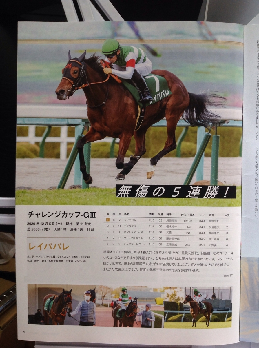 f:id:jnsk_jojo:20210509070240j:plain