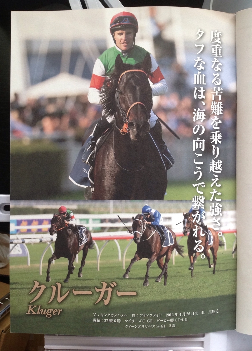 f:id:jnsk_jojo:20210509070252j:plain