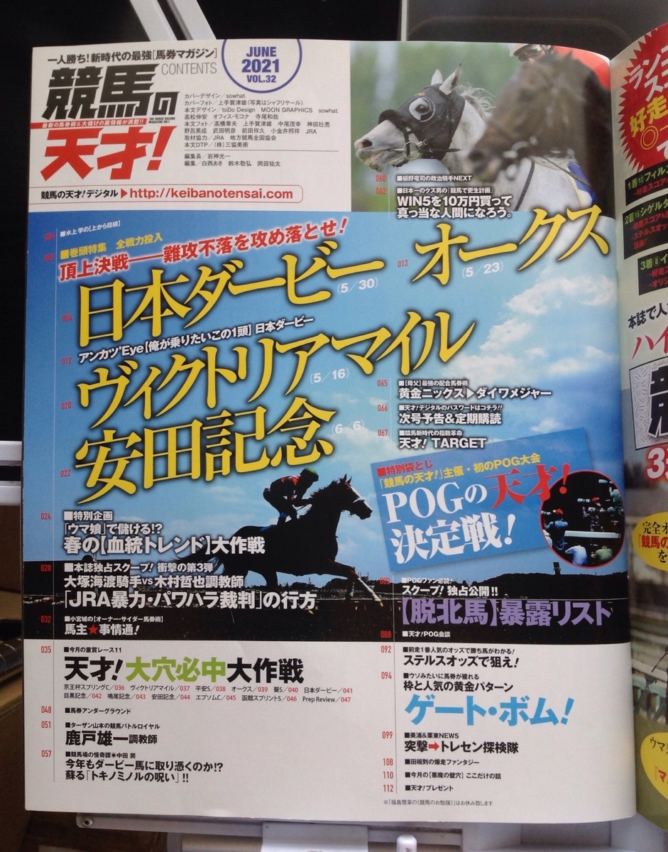f:id:jnsk_jojo:20210603191655j:plain