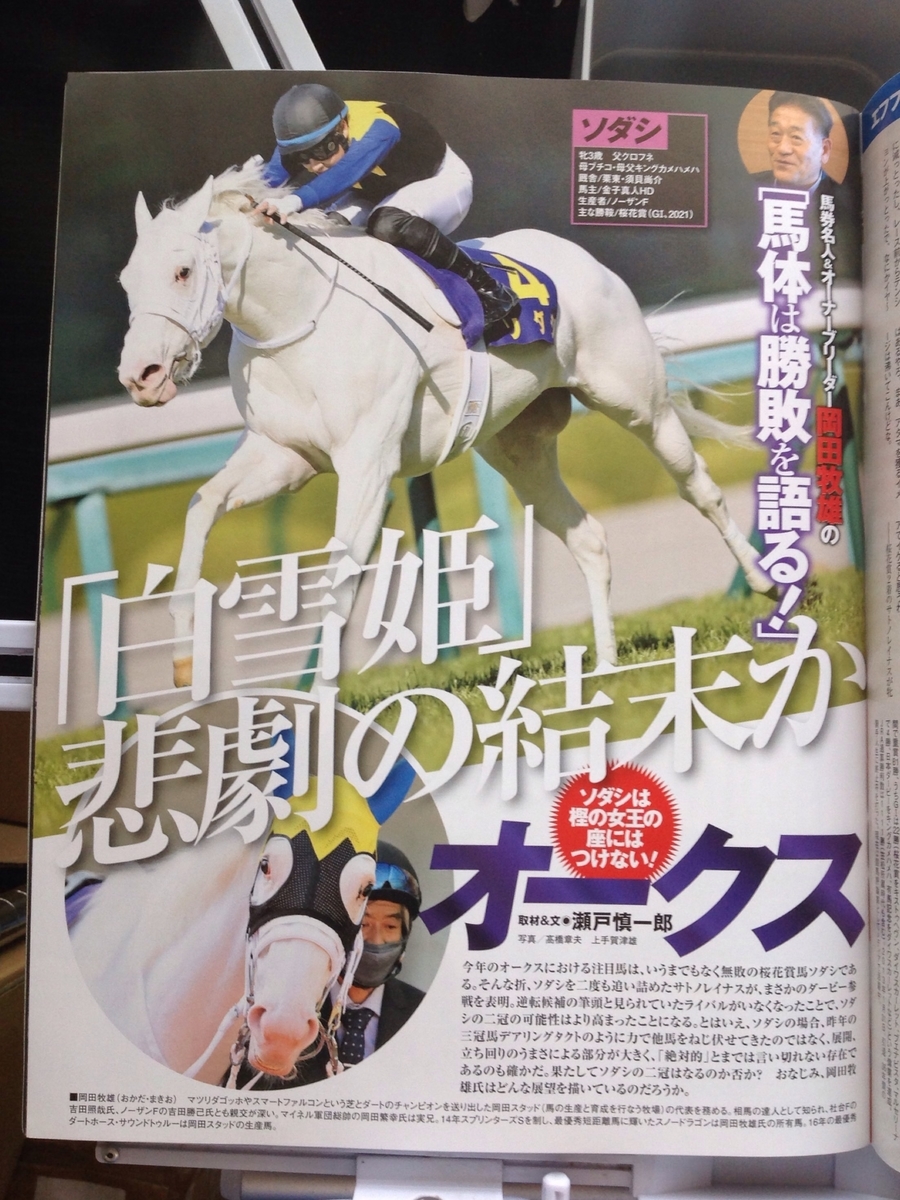 f:id:jnsk_jojo:20210603191706j:plain
