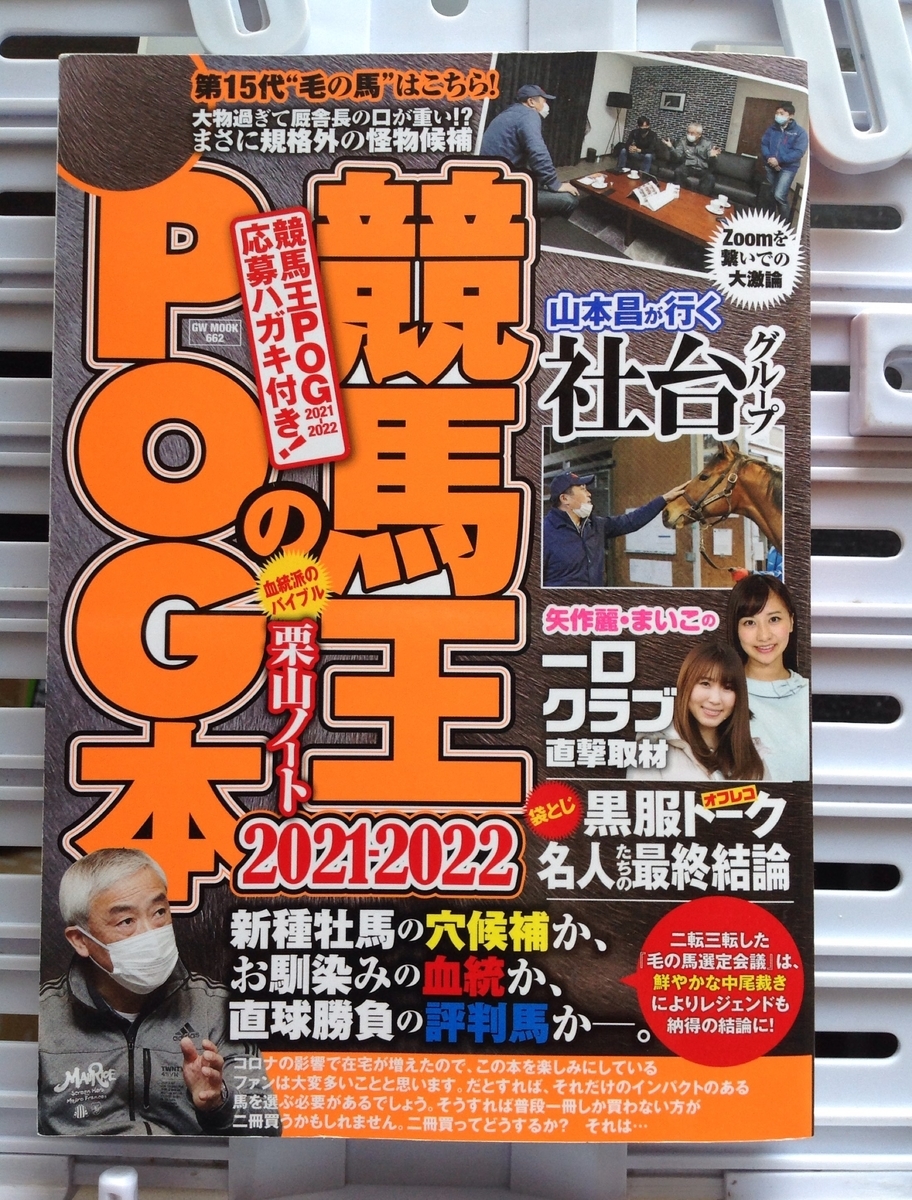 f:id:jnsk_jojo:20210603192837j:plain