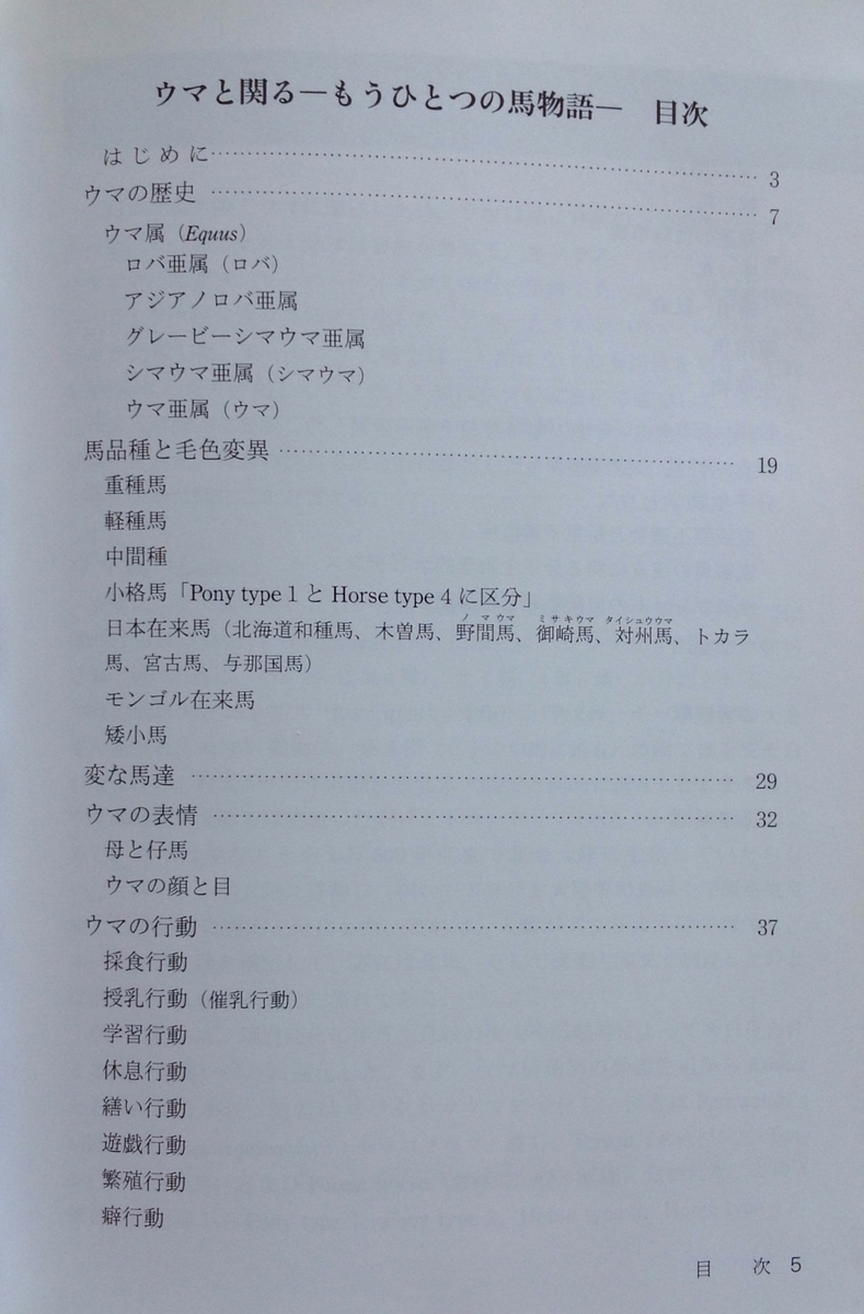 f:id:jnsk_jojo:20210614164553j:plain