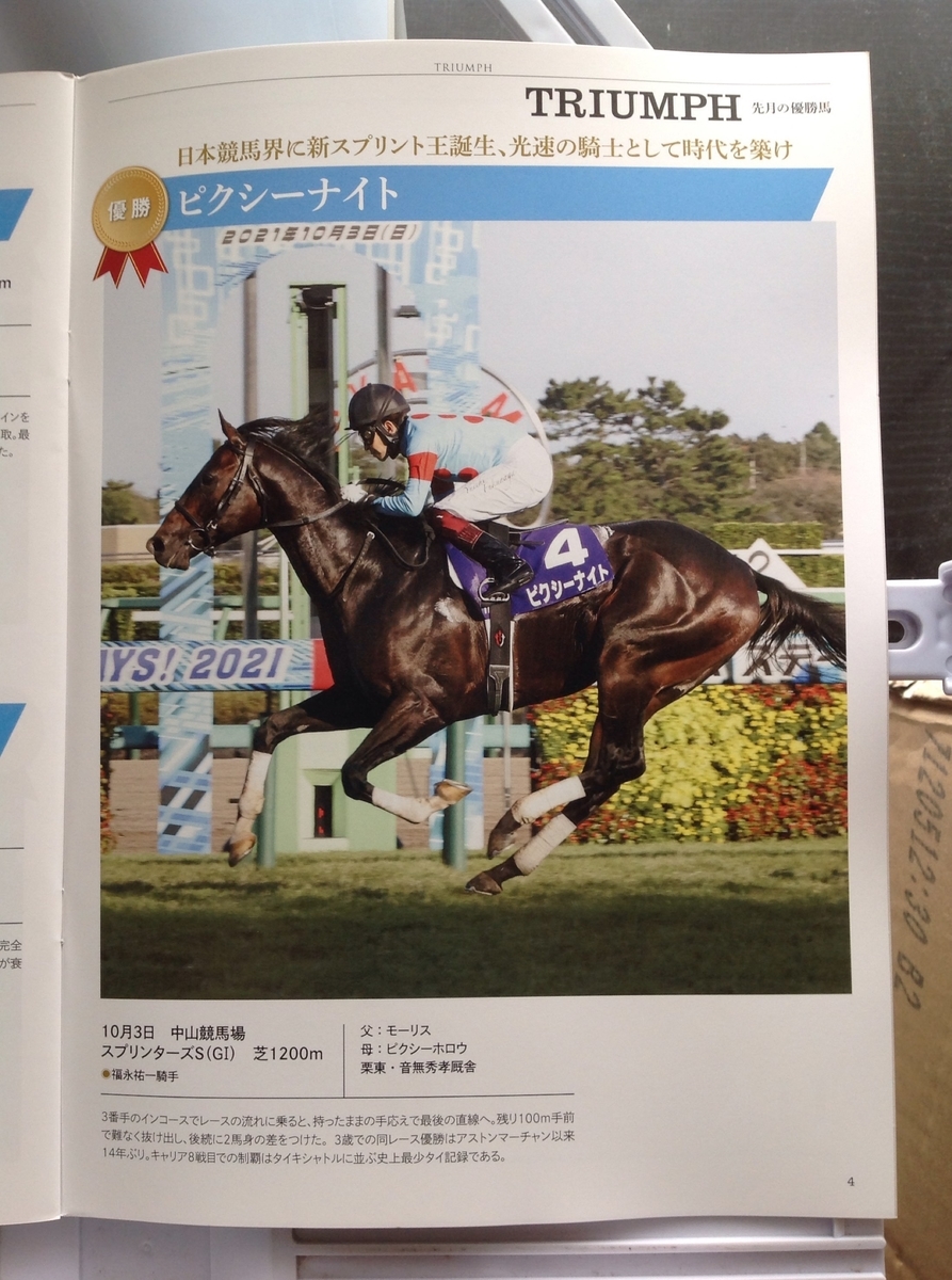f:id:jnsk_jojo:20220216135246j:plain