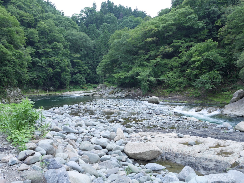 f:id:jnyoga:20180627222338j:image f:id:jnyoga:20180627222338j:image