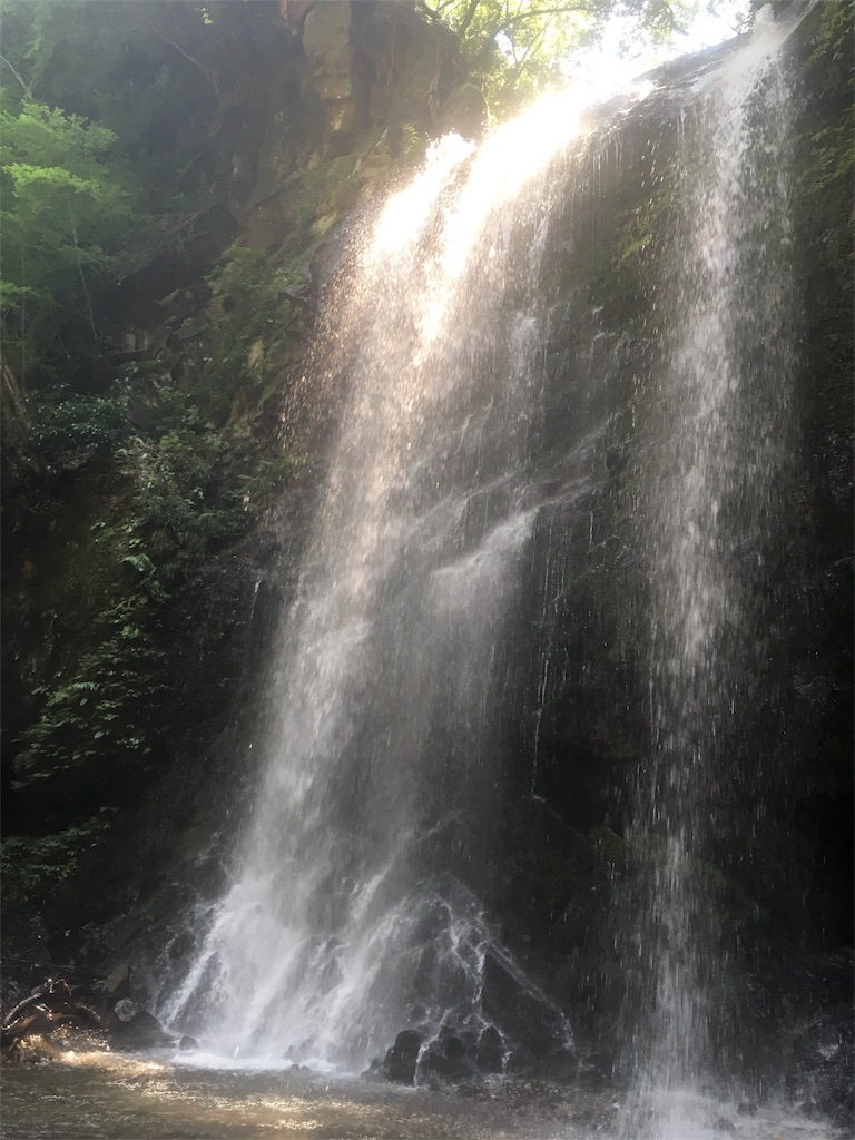 f:id:jnyoga:20180627222357j:image f:id:jnyoga:20180627222357j:image