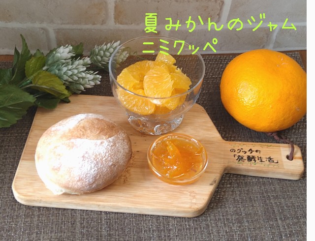 f:id:jo-jima:20220325125501j:plain
