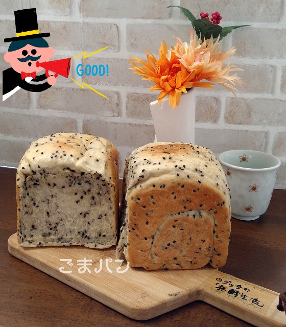 f:id:jo-jima:20220325143911j:plain