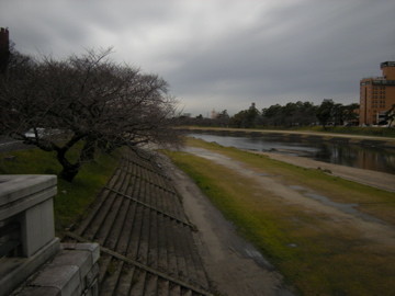 f:id:jo-min-chang:20100529185359j:image