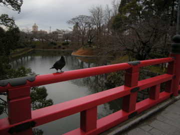 f:id:jo-min-chang:20100529185403j:image
