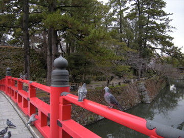 f:id:jo-min-chang:20100529185404j:image