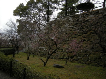 f:id:jo-min-chang:20100529190050j:image