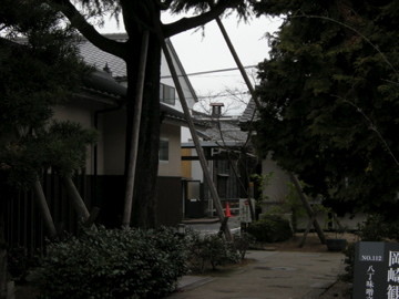 f:id:jo-min-chang:20100529194150j:image