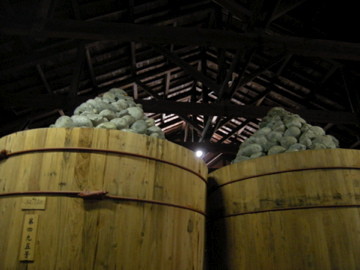f:id:jo-min-chang:20100529194152j:image