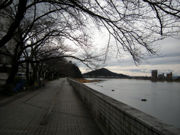 f:id:jo-min-chang:20100529195037j:image