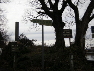 f:id:jo-min-chang:20100529195039j:image