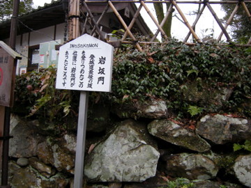 f:id:jo-min-chang:20100529195048j:image