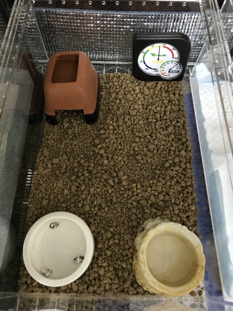 f:id:jo1192296:20171113210837j:plain f:id:jo1192296:20171113210837j:plain