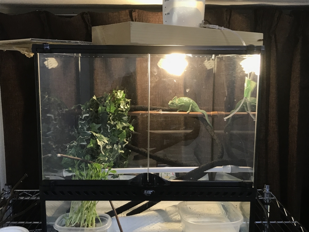 f:id:jo1192296:20171125181654j:plain f:id:jo1192296:20171125181654j:plain