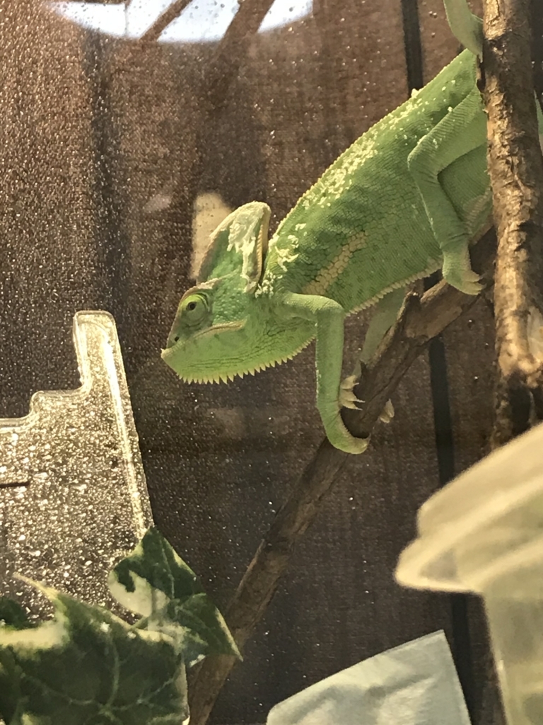 f:id:jo1192296:20171125182557j:plain f:id:jo1192296:20171125182557j:plain