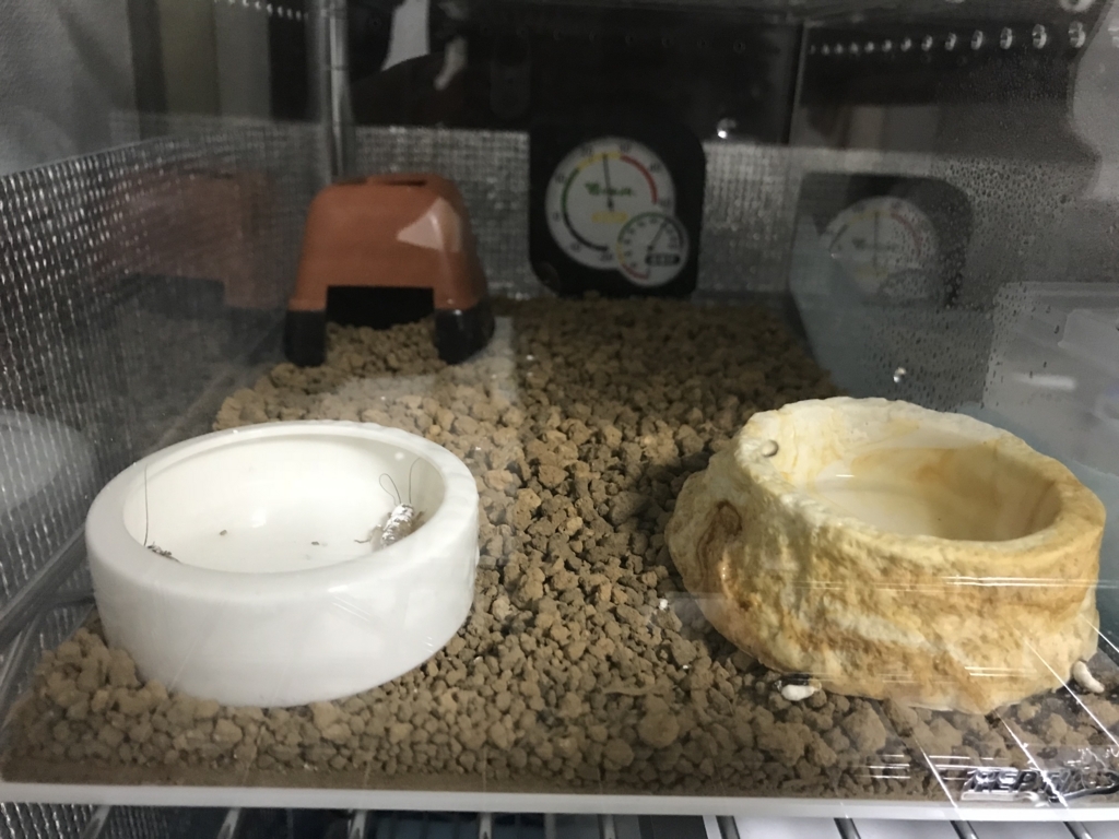 f:id:jo1192296:20171212213843j:plain f:id:jo1192296:20171212213843j:plain