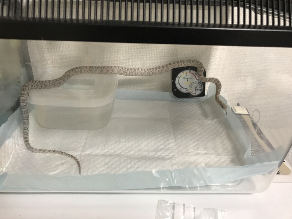 f:id:jo1192296:20171212214604j:plain f:id:jo1192296:20171212214604j:plain