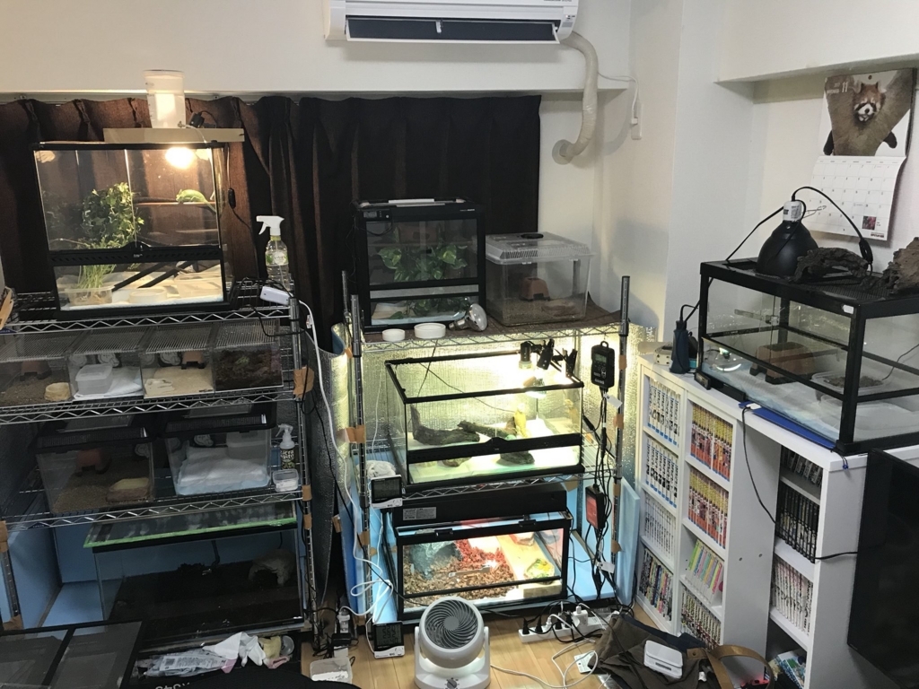 f:id:jo1192296:20171212215508j:plain f:id:jo1192296:20171212215508j:plain