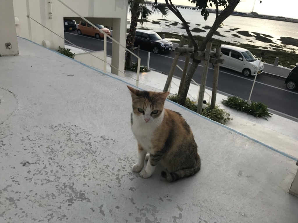 f:id:jo222350:20180420234850j:plain