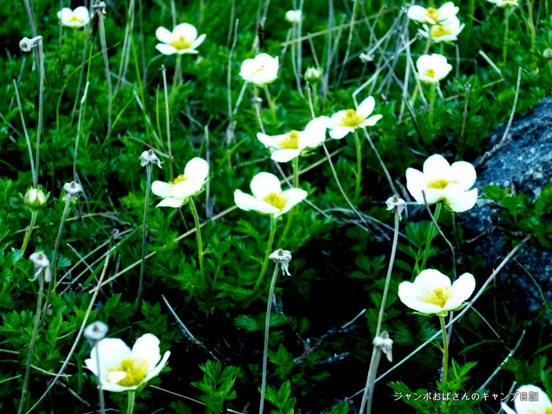 f:id:jo828:20130813064126j:image f:id:jo828:20130813064126j:image