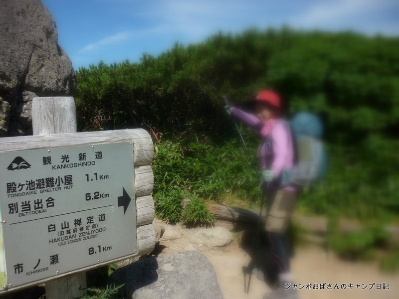 f:id:jo828:20130813094126j:image f:id:jo828:20130813094126j:image