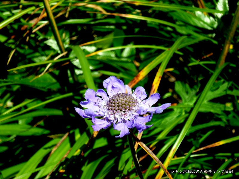 f:id:jo828:20130813100650j:image f:id:jo828:20130813100650j:image