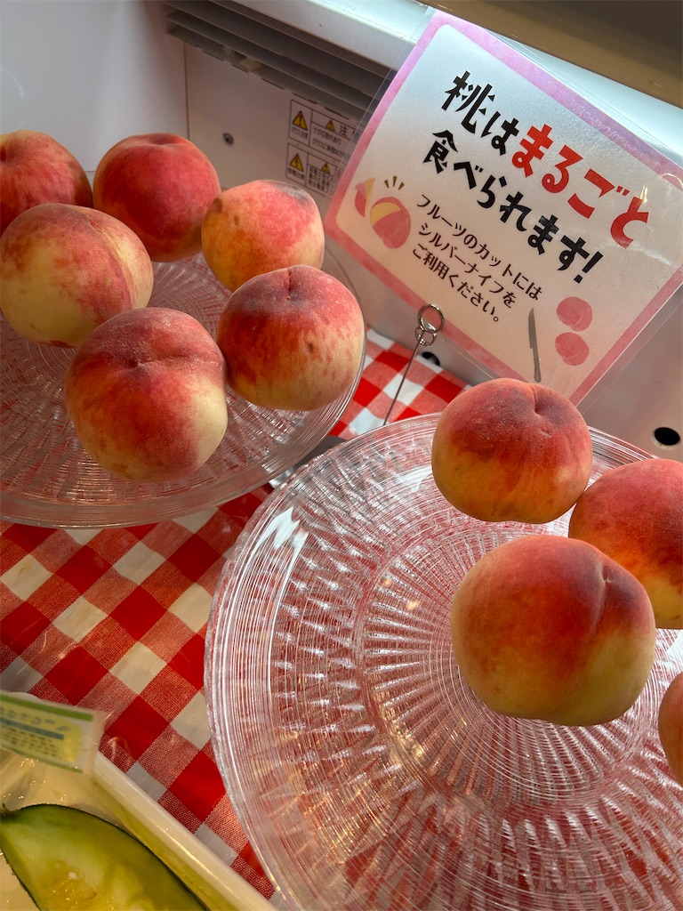 f:id:jo_ta:20230719143435j:image