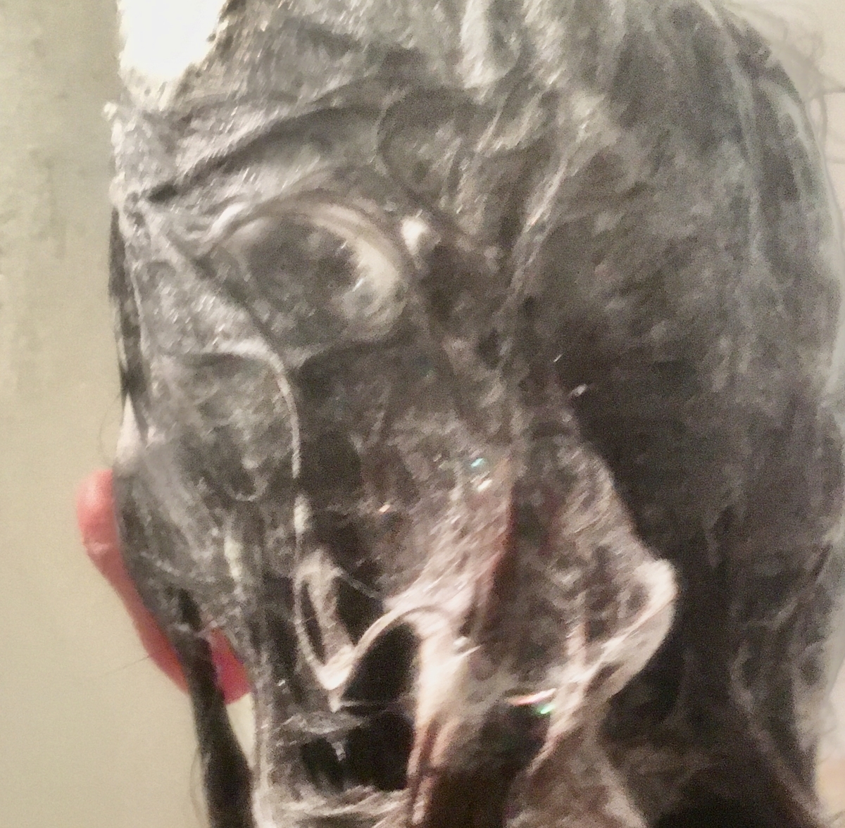 f:id:jobsp:20210219222448j:plain