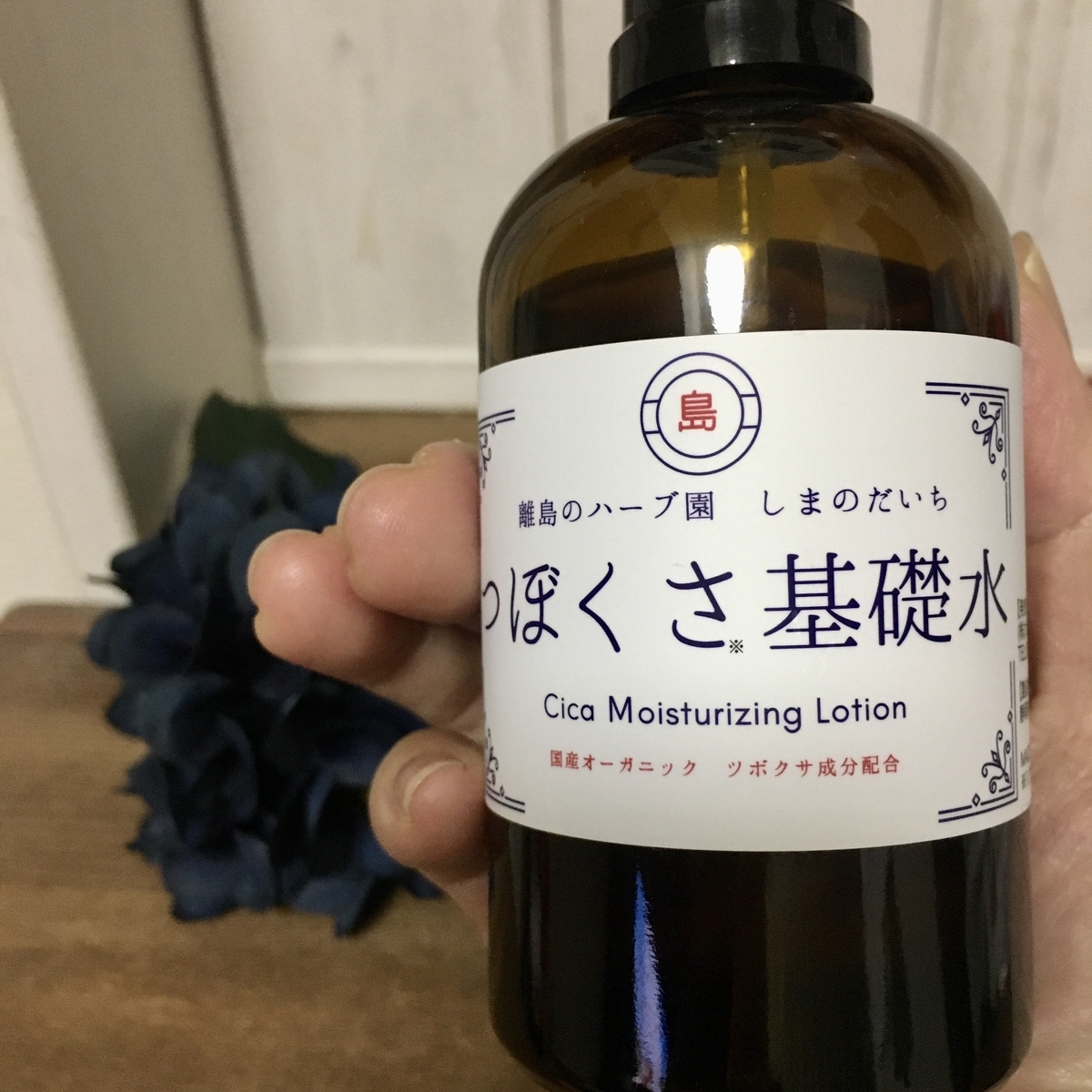 f:id:jobsp:20210810231741j:plain