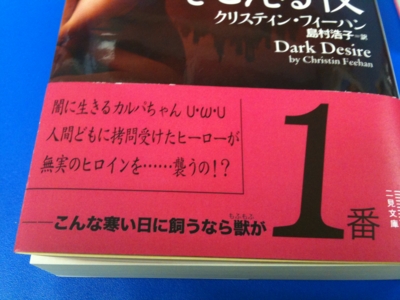 f:id:jodaka:20101118185952j:image