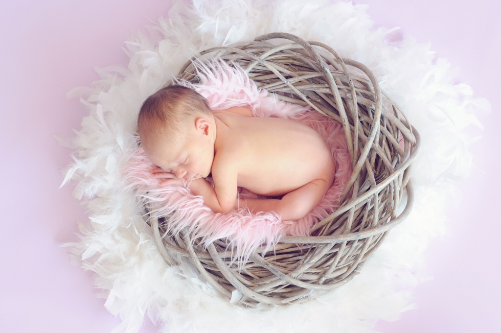 f:id:jodymos:20180125215940j:plain